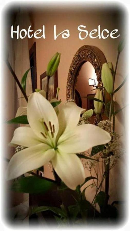 Hotel La Selce Monselice Bagian luar foto